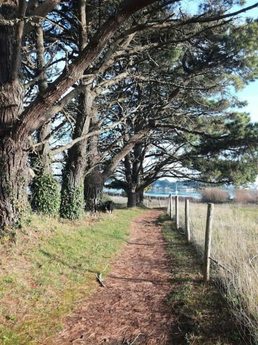 Chalet Cosy, Plages A Pieds. Morbihan. Plouhinec  Luaran gambar